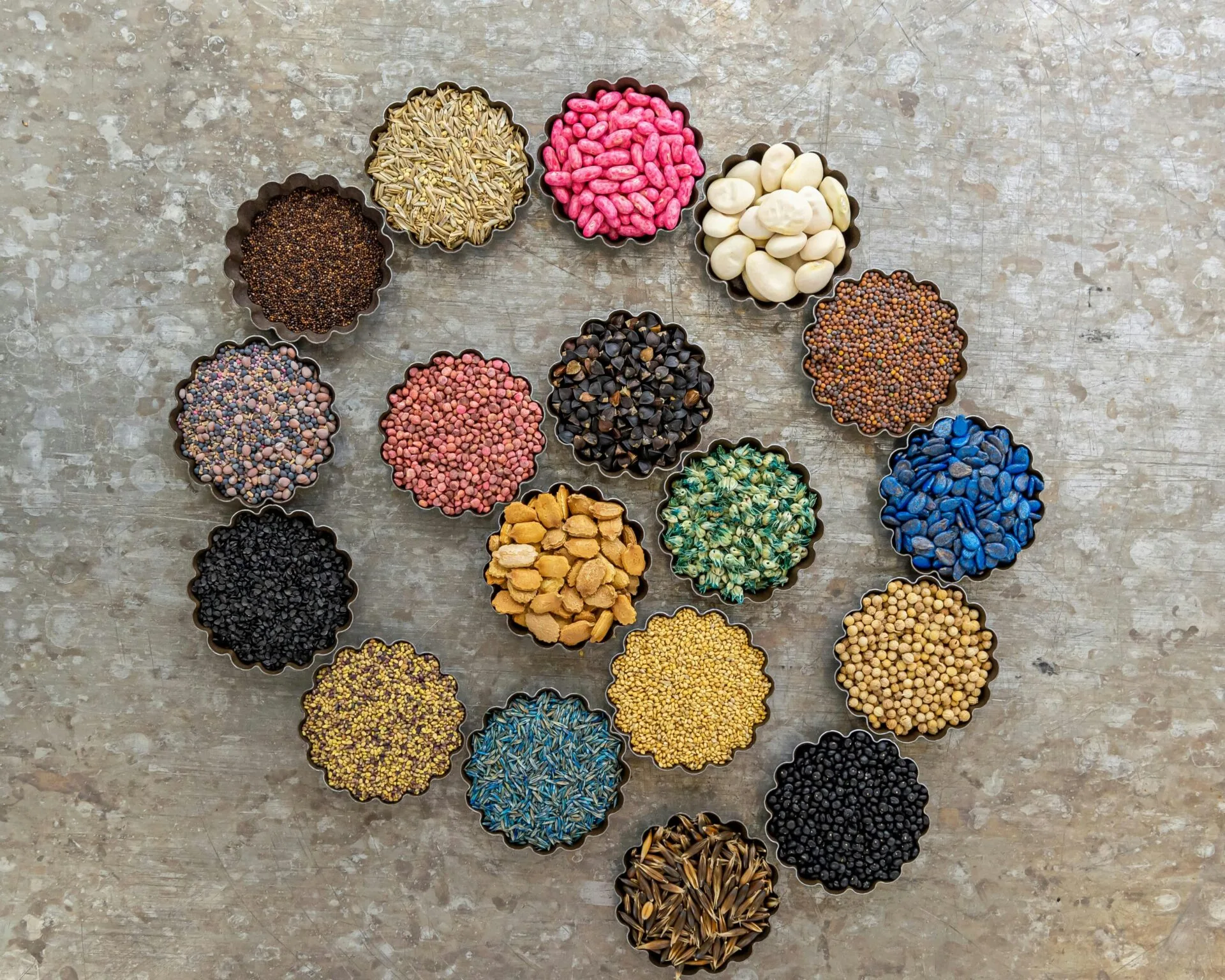 Seed Links Quality Seeds Division - Quality Seeds1 - Hortilinks International