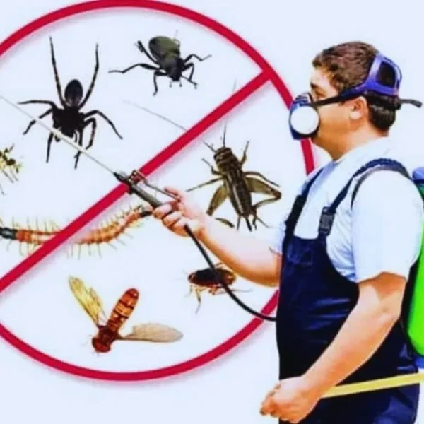 PEST NIL Pest Control Amp Termite Services - Termite Treatment Services - Hortilinks International